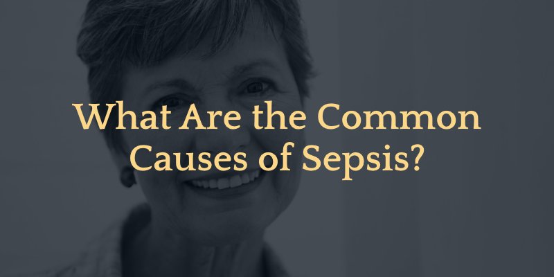What Are the Common Causes of Sepsis?